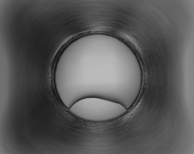 X0000097490875200802220838