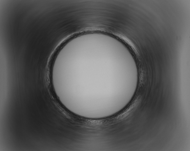 X0000097490878200802220838