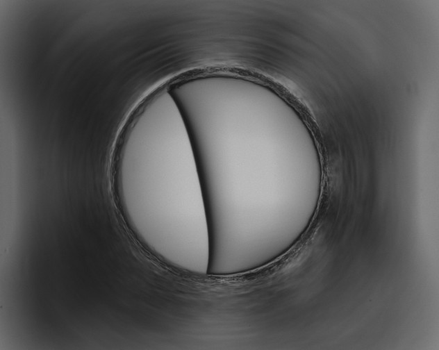 X0000097490879200802220838