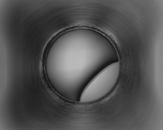 X0000097490880200802220838