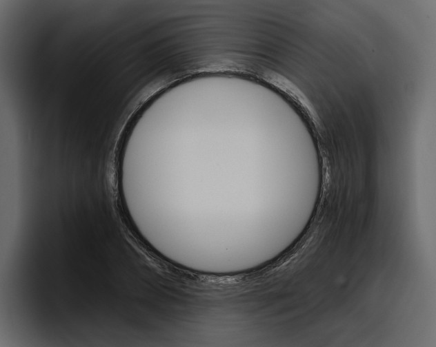 X0000097490882200802220838