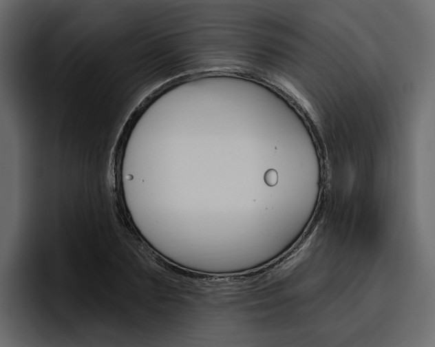 X0000097490883200802220838