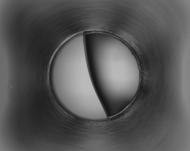 X0000097490884200802220838