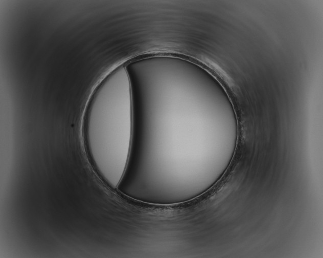 X0000097490885200802220838