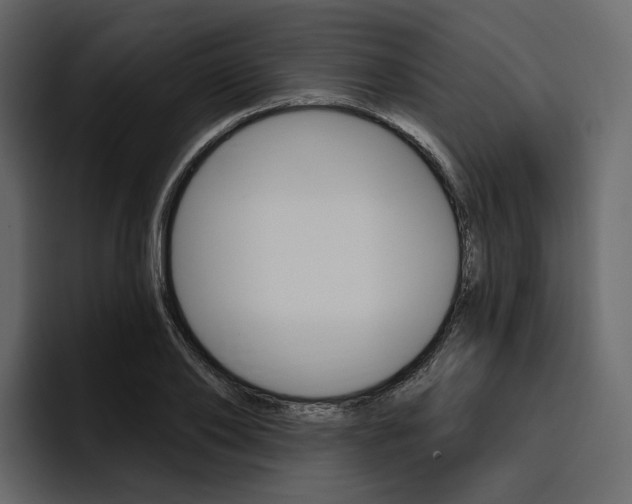 X0000097490886200802220838