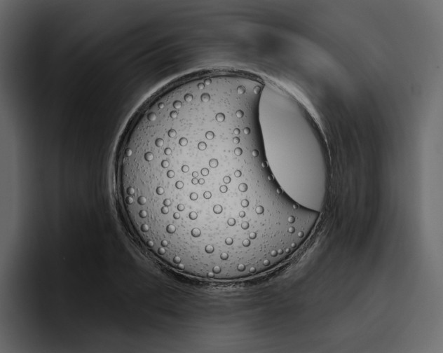 X0000097490887200802220838