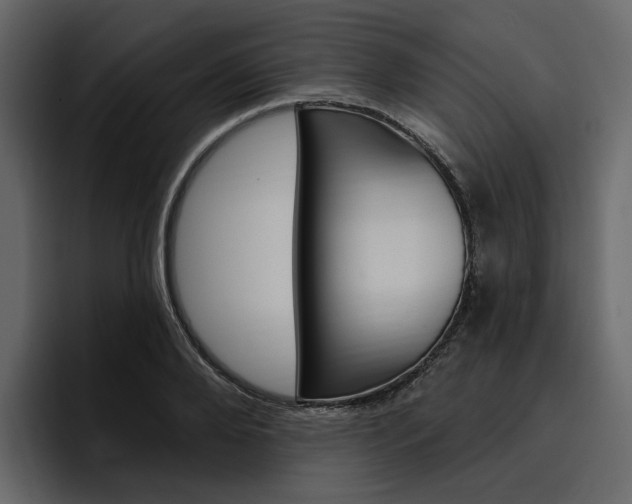 X0000097490888200802220838