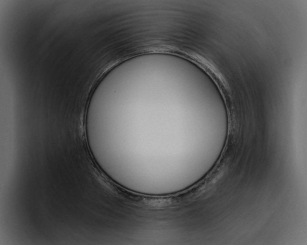 X0000097490889200802220838