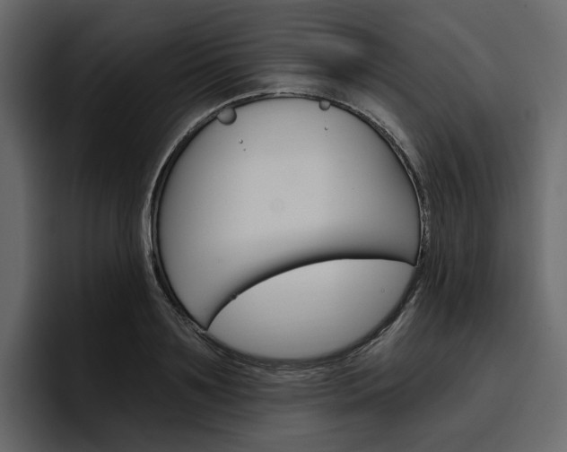 X0000097490891200802220838