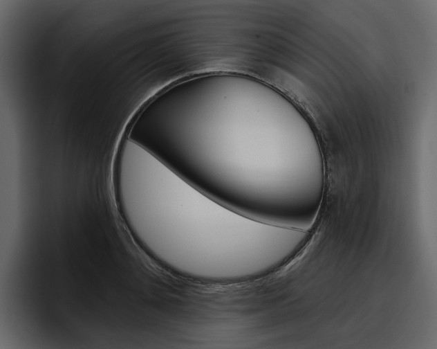 X0000097490892200802220838