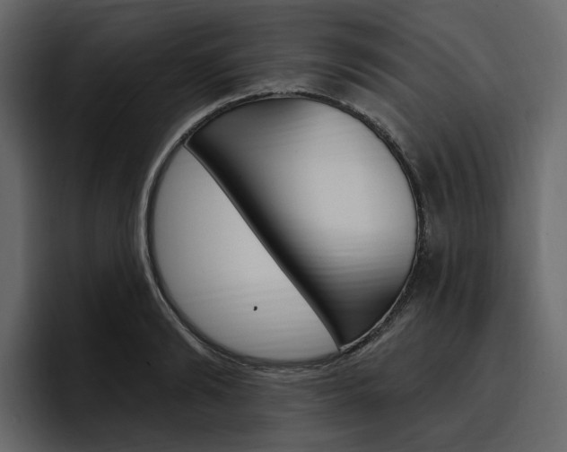 X0000097490894200802220838