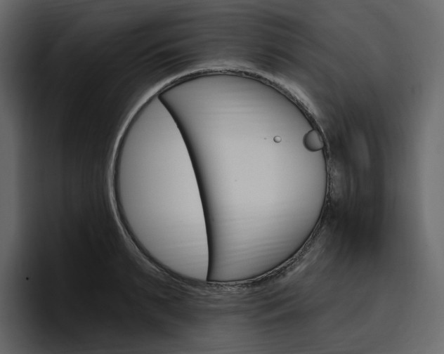 X0000097490895200802220838
