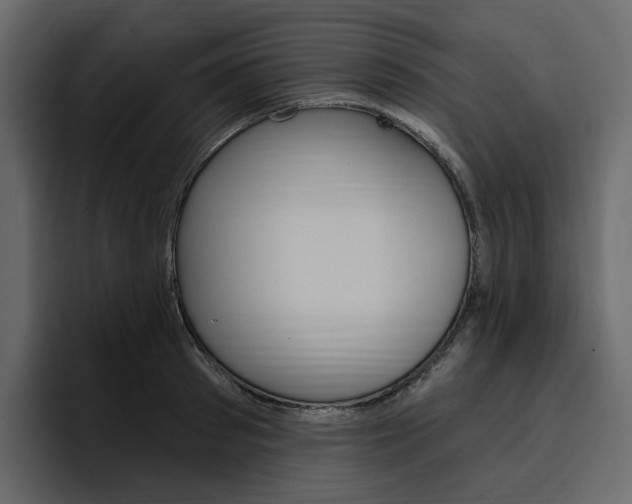 X0000097490897200802220838