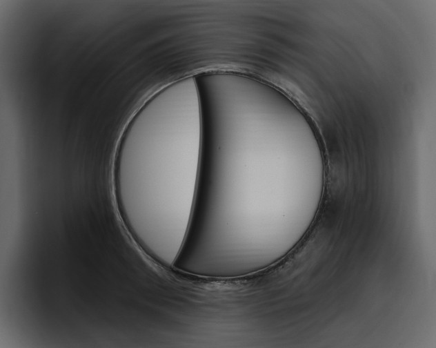 X0000097490898200802220838