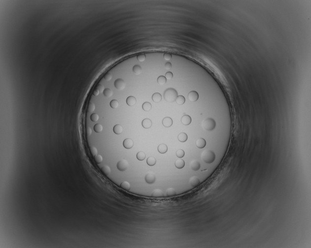 X0000097490899200802220838