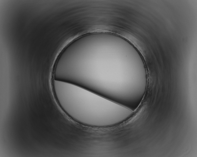 X0000097490901200802220838