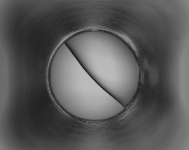 X0000097490903200802220838