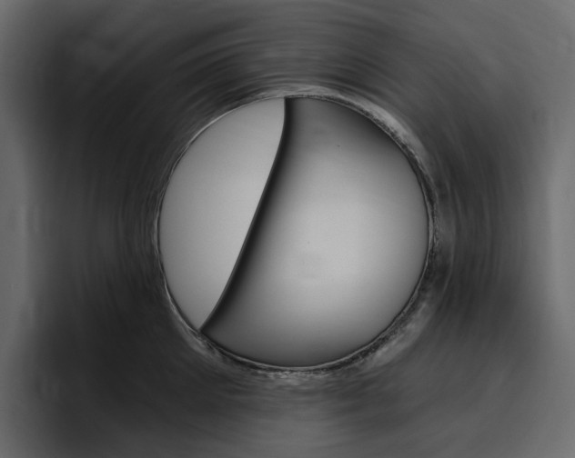 X0000097490905200802220838