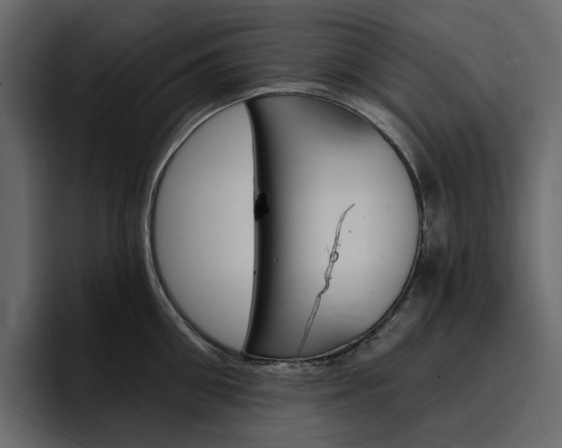 X0000097490906200802220838