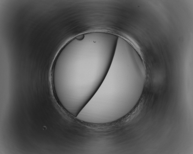 X0000097490907200802220838