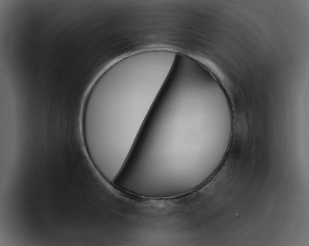 X0000097490910200802220838