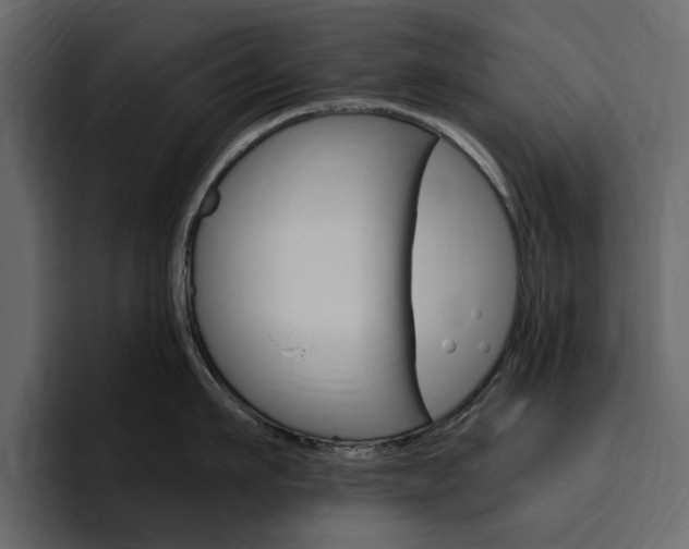 X0000097490911200802220838