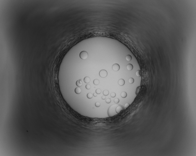 X0000097490913200802220837
