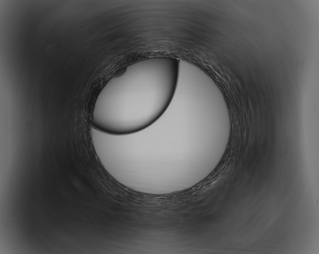 X0000097490916200802220837