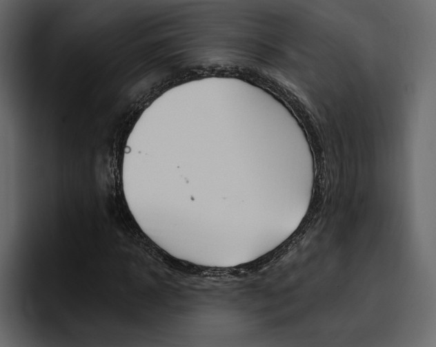 X0000097490918200802220837
