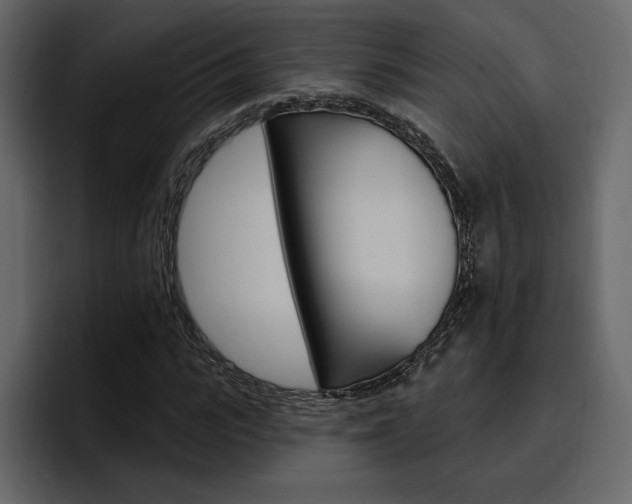 X0000097490919200802220837