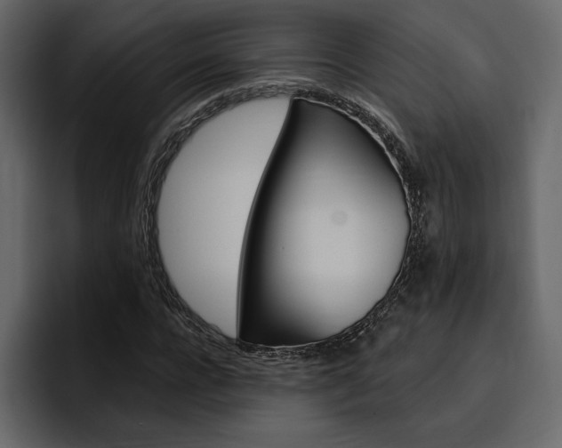 X0000097490920200802220837