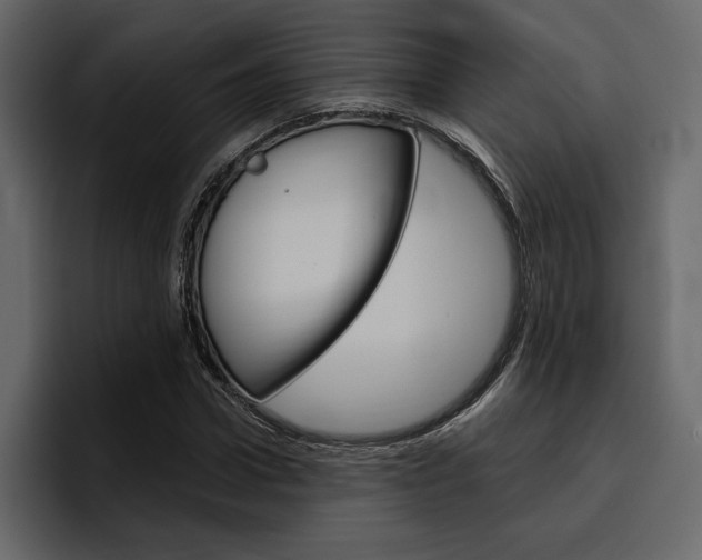 X0000097490922200802220837