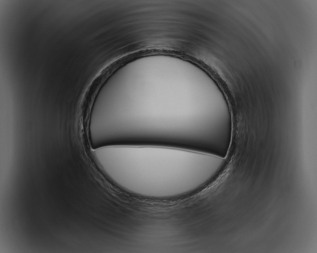 X0000097490923200802220837