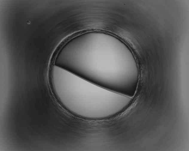 X0000097490924200802220837