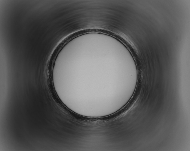 X0000097490926200802220837