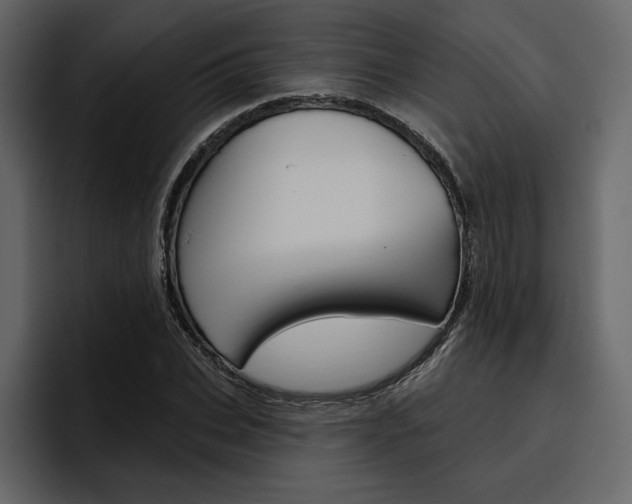 X0000097490927200802220837