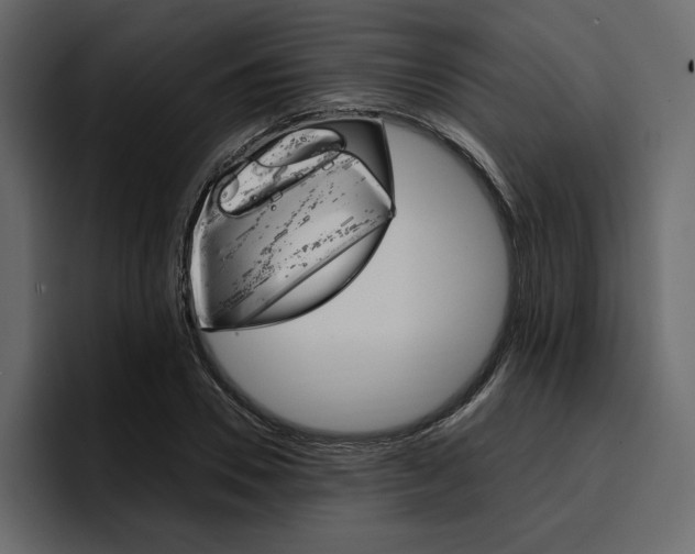 X0000097490930200802220837