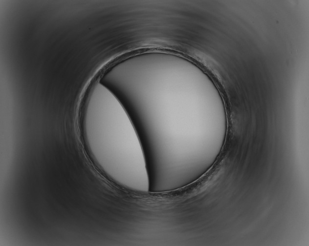 X0000097490931200802220837