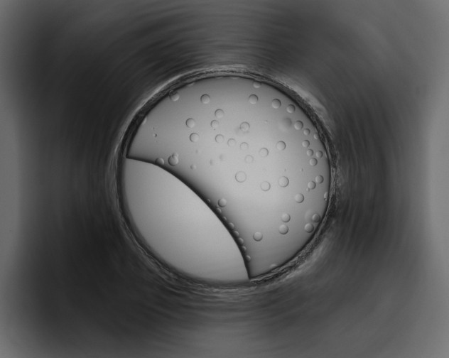 X0000097490933200802220837