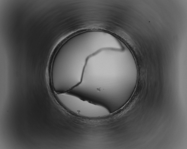X0000097490936200802220838
