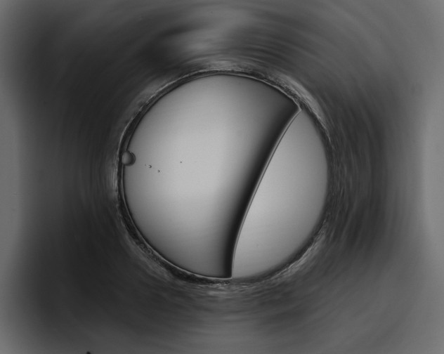 X0000097490938200802220838