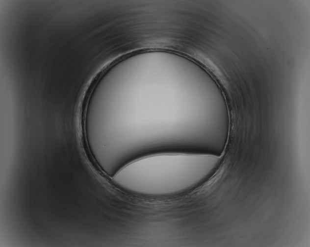 X0000097490939200802220838