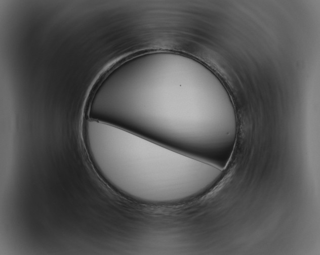 X0000097490940200802220838