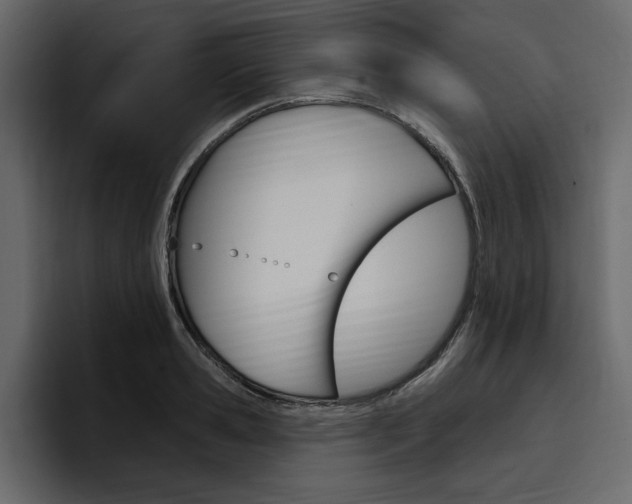 X0000097490941200802220838