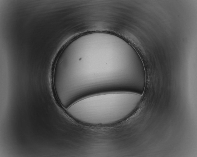 X0000097490942200802220838
