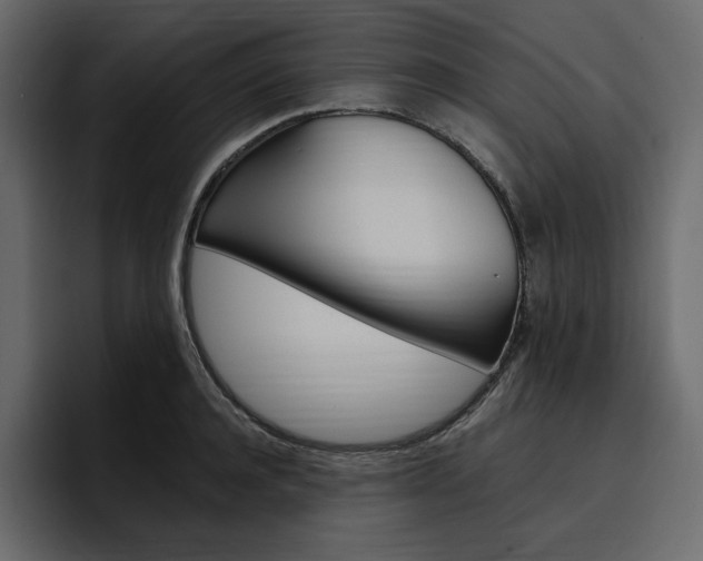 X0000097490944200802220838