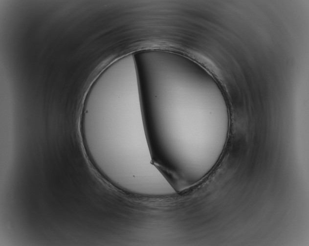 X0000097490946200802220838