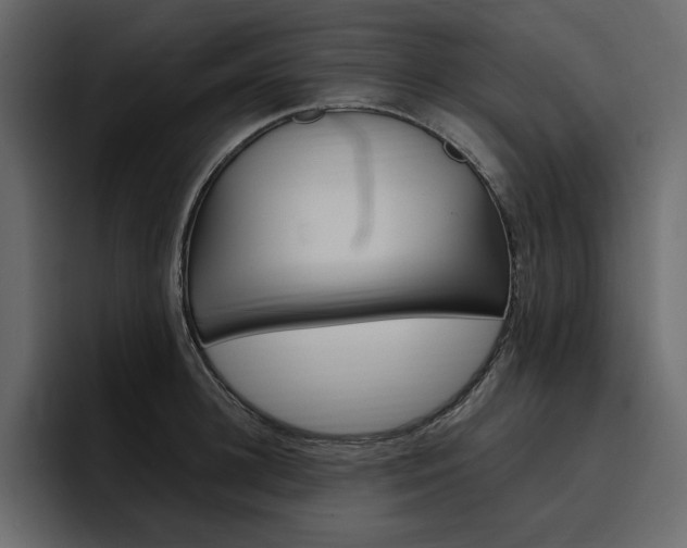 X0000097490948200802220838