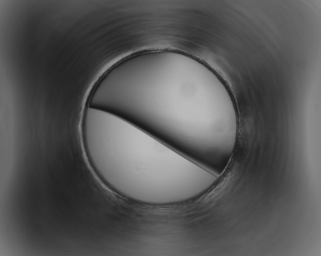 X0000097490951200802220838