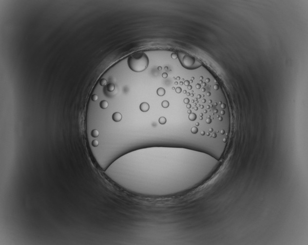 X0000097490953200802220838